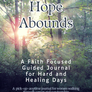 Amazon Hardcover Hope Abounds: A Faith Focused Guided Journal for Hard and Healing Days (Copy)