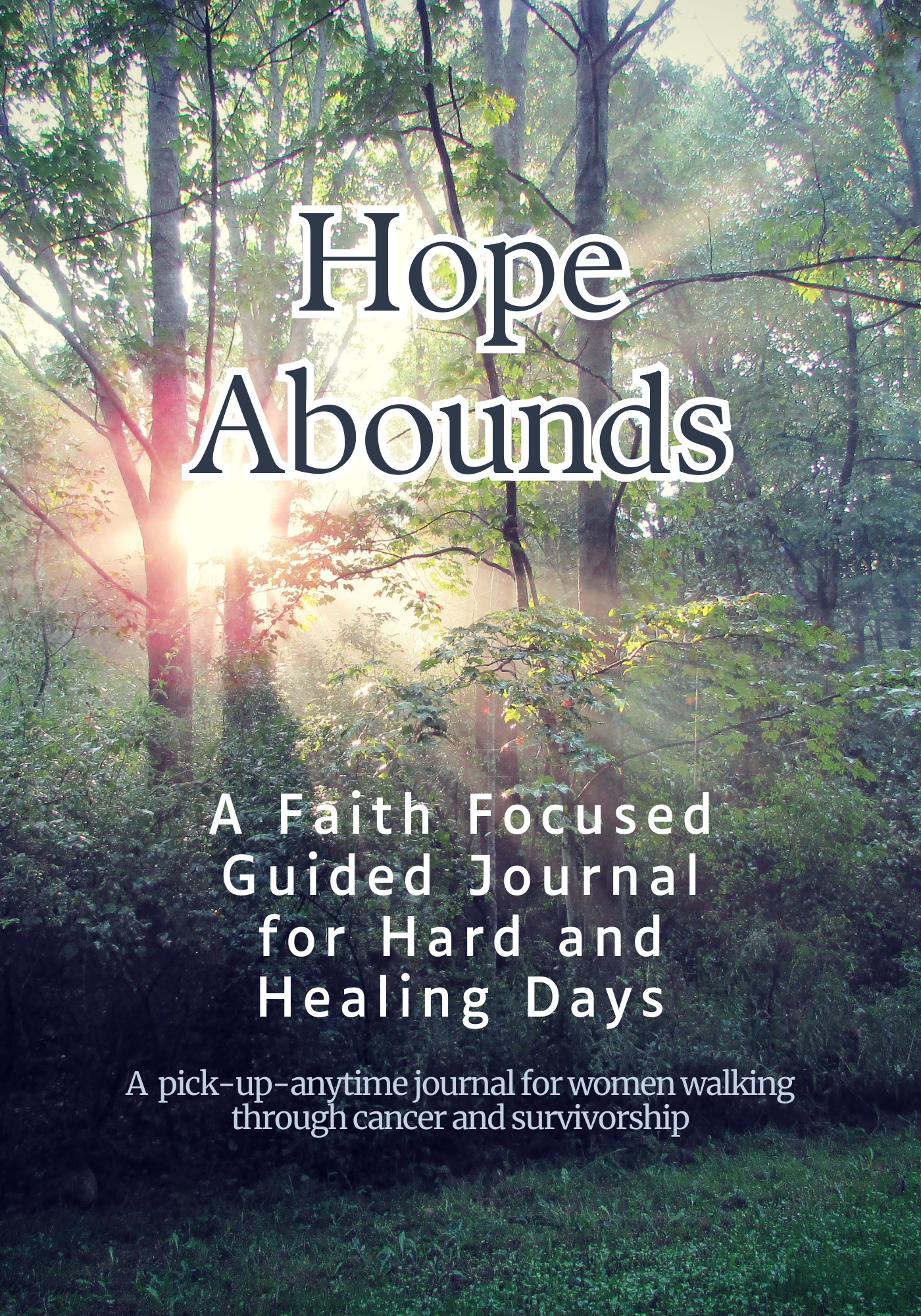 Amazon Hardcover Hope Abounds: A Faith Focused Guided Journal for Hard and Healing Days (Copy)