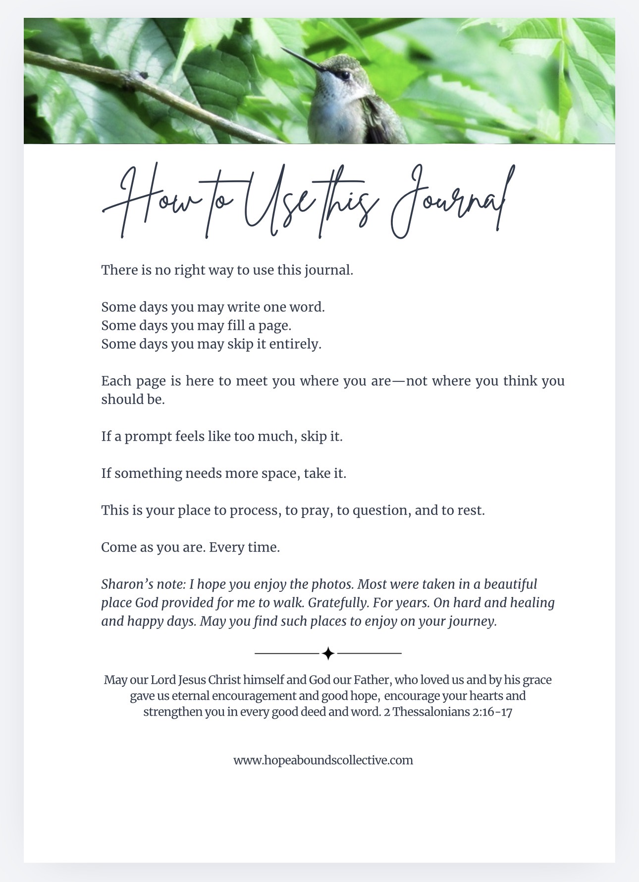 Amazon Hardcover Hope Abounds: A Faith Focused Guided Journal for Hard and Healing Days (Copy) - Image 2