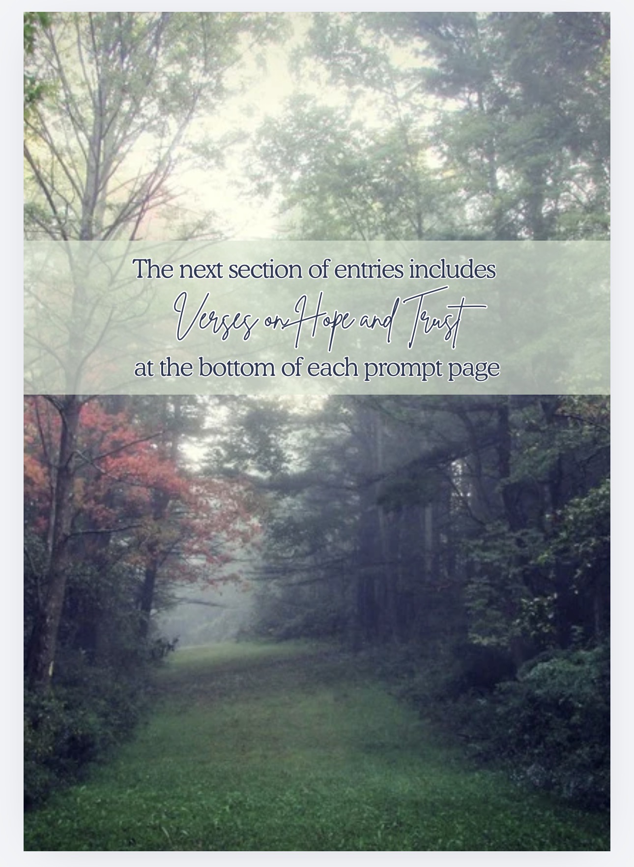 Amazon Hardcover Hope Abounds: A Faith Focused Guided Journal for Hard and Healing Days (Copy) - Image 4