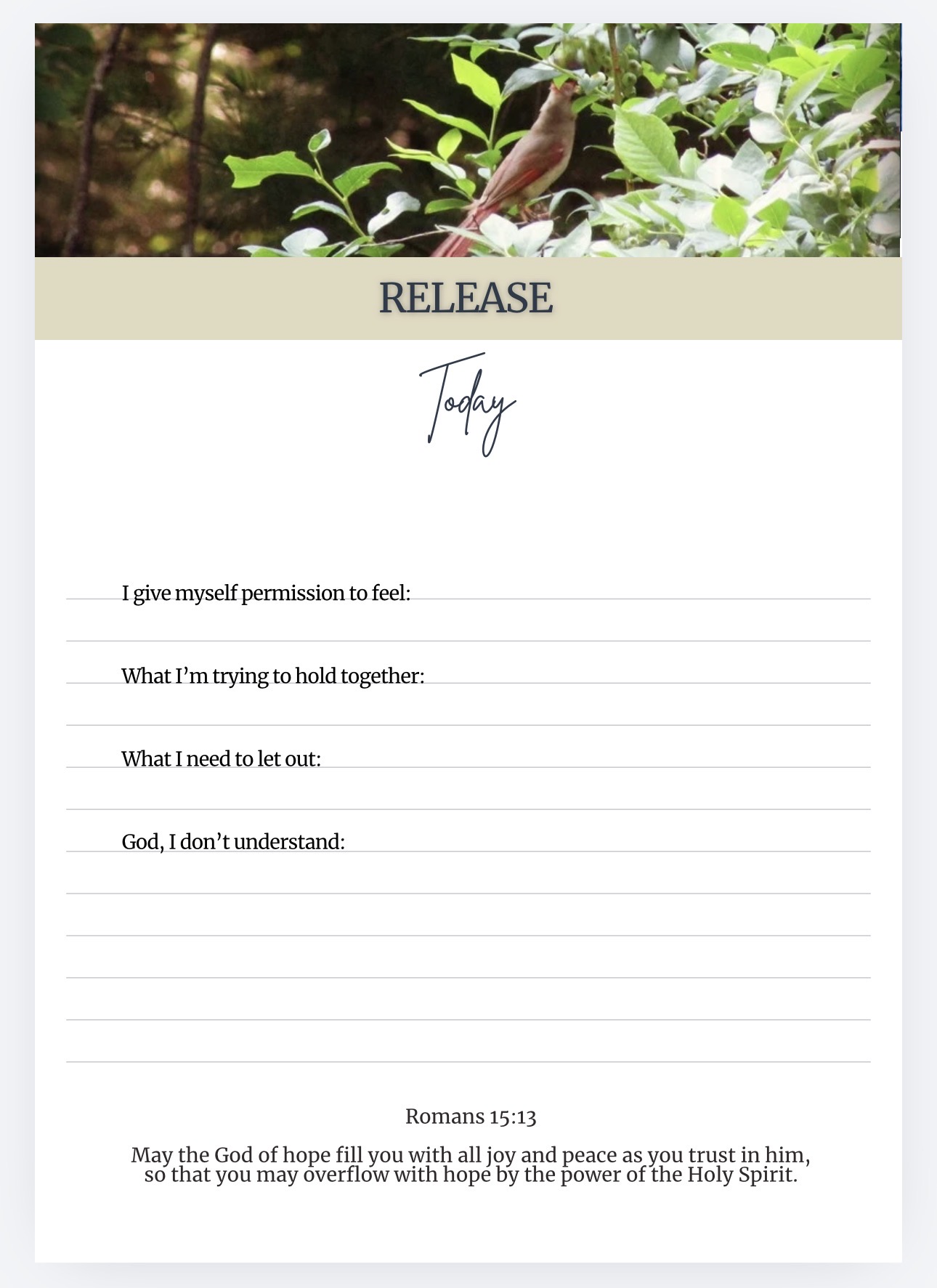 Amazon Hardcover Hope Abounds: A Faith Focused Guided Journal for Hard and Healing Days (Copy) - Image 6
